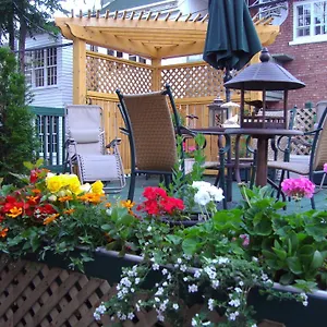 Le Transit 3*, Quebec City Canada